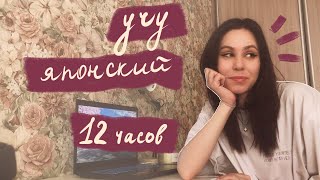 учу японский 12 часов