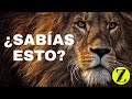 😱 10 datos de los ANIMALES que NO SABÍAS 😱 | Curiosidades del Reino Animal | #StudioZ