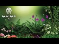 الرقية الشرعية المطولة 3 ساعات و 17 دقيقة 