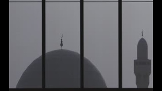 رحلة العزم | Together We Prevail