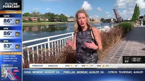 Walking Club: Exploring the Tampa Riverwalk