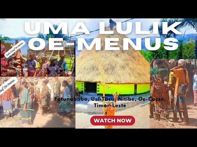 Harii Uma Lisan Oe-Menus ( Sico Elu)  Usi Taku, Nitibe, Oe-Cusse, Timor-Leste. class=