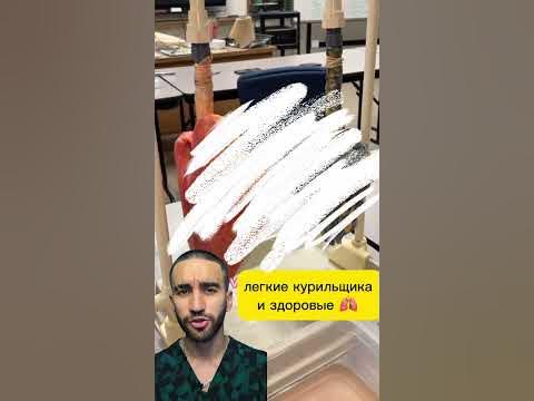 легкие курильщика и легкие здорового человека - YouTube