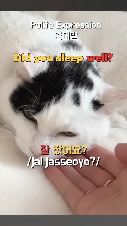 How To Say Did You Sleep Well In Korean YouTube how-to-say-did-you-sleep-well-in-korean-youtube