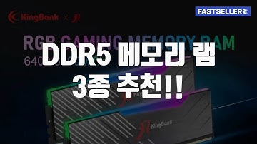 DDR5 메모리 램 3종 추천!!