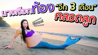 อีก 3 เดือน!! แม่นางเงือกท้อง จะคลอดลูกแล้วน๊าา (เจ้าแม่นางเงือกมาแล้วค่า) MERMAID PREGNANT