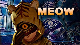 Seer Vs Feaster Ideny V Legendary Rank