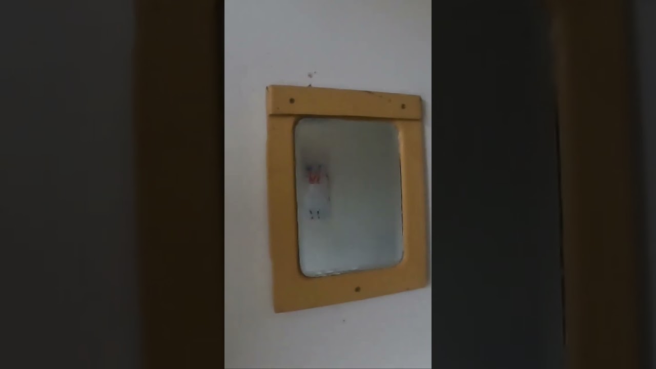 WHAT IS IN A NORTHUMBERLAND BOTHY 