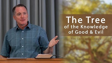 The Tree of the Knowledge of Good & Evil - Tim Conway