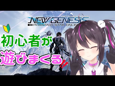 【PSO2NGS】初心者が今日こそ遊びまくる‼メンテ明けらしい