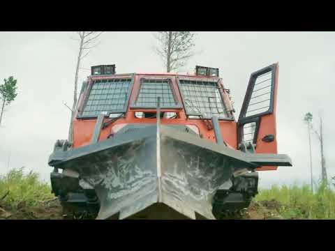 Компенсационное лесовосстановление