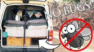 How to: Van Fly Screen | EASY, QUICK, CHEAP