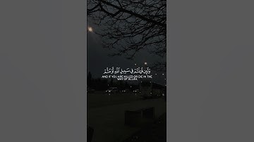 سورة آل عمران #محمود_الحصري|قالب قران كاب كات|quran-capcut-template