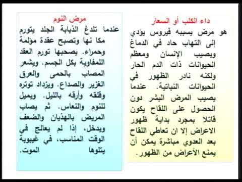 محاضرة 7: العوامل البيئية المؤثرة في صحة الإنسان