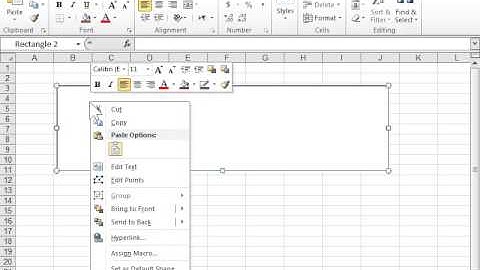 Excel 2010 Add Text to a Shape