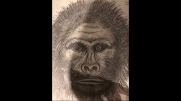 Sasquatch “Wake Up” Video: Beyond Bigfoot Teepees