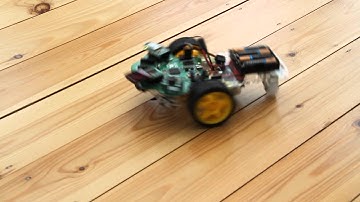 FlowPaw wireless Rover with Bluetooth