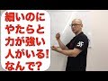 細いのに力がやたらと強い人がいるのはなんで?について