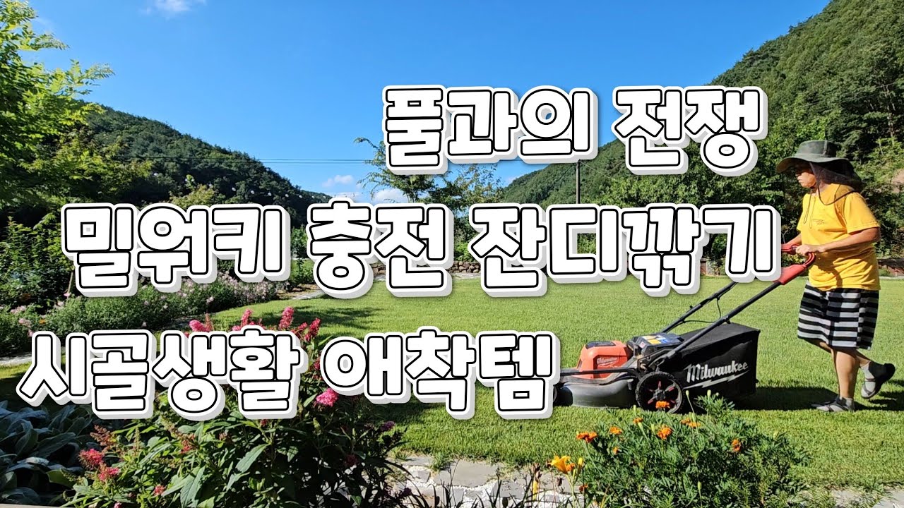 역시 장비빨. 풀과의 전쟁. 밀워키 충전 잔디깎기 덕분에. 행복한농부의집 다올.