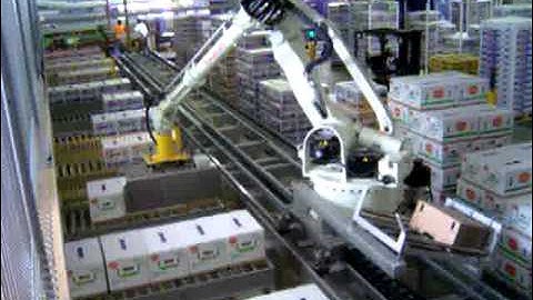 JMP ENGINEERING - Robotic Produce Palletizing with Robot on a Rail