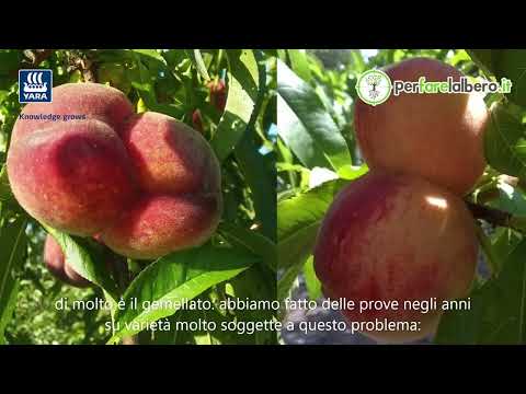 Come migliorare la
