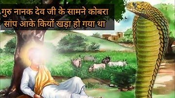 गुरु नानक देव जी के सामने कोबरा सांप आके कियों खड़ा हुआ || sakhi guru nanak dev ji