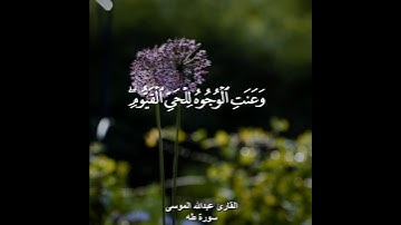 ﴿وعنت الوجوه للحي القيوم﴾ القارئ عبدالله المسوى