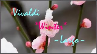 ~ Vivaldi, "Winter (II-Largo)" ~ 🎄⛄️ ❄️ 🎁 ❄️ ⛄️ 🎄