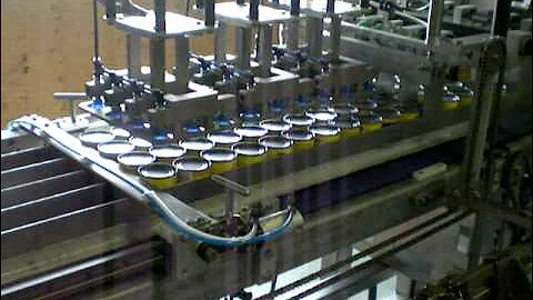 350CP Case Packer Cans 2