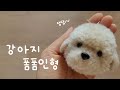 강아지 폼폼인형 만들기 How to make a pompom puppy