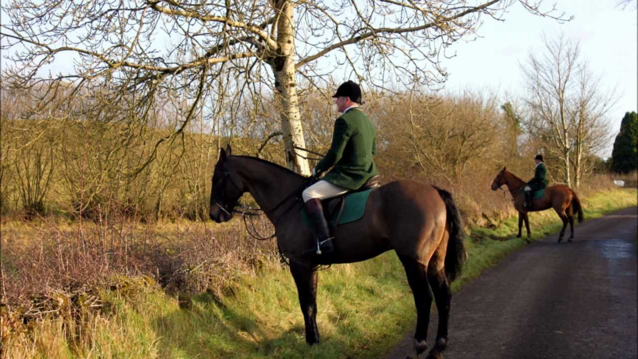 Fox Hunting In Ireland YouTube fox-hunting-in-ireland-youtube
