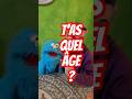 L' #age en #anglais avec #methodegarbee #garbyetjojo #anglais