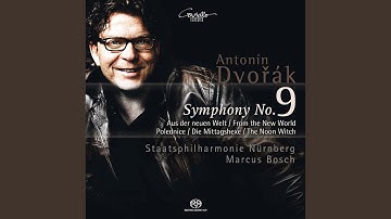 Symphony No. 9 in E Minor, Op. 95, B. 178 "From the New World": IV. Allegro con fuoco
