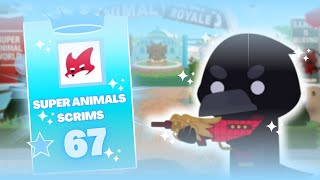 67 POINTS IN SUPER ANIMALS SCRIM | SUPER ANIMAL ROYALE PRO GAMEPLAY