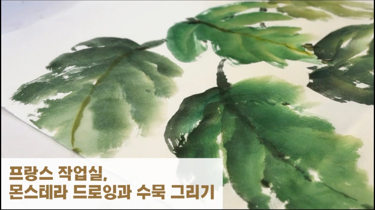 프랑스 작업실, 몬스테라 드로잉과 수묵 그리기 (feat. 구독자 이벤트 🎁)
