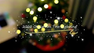 好久不见~2020 Christmas Tree Lighting🎄