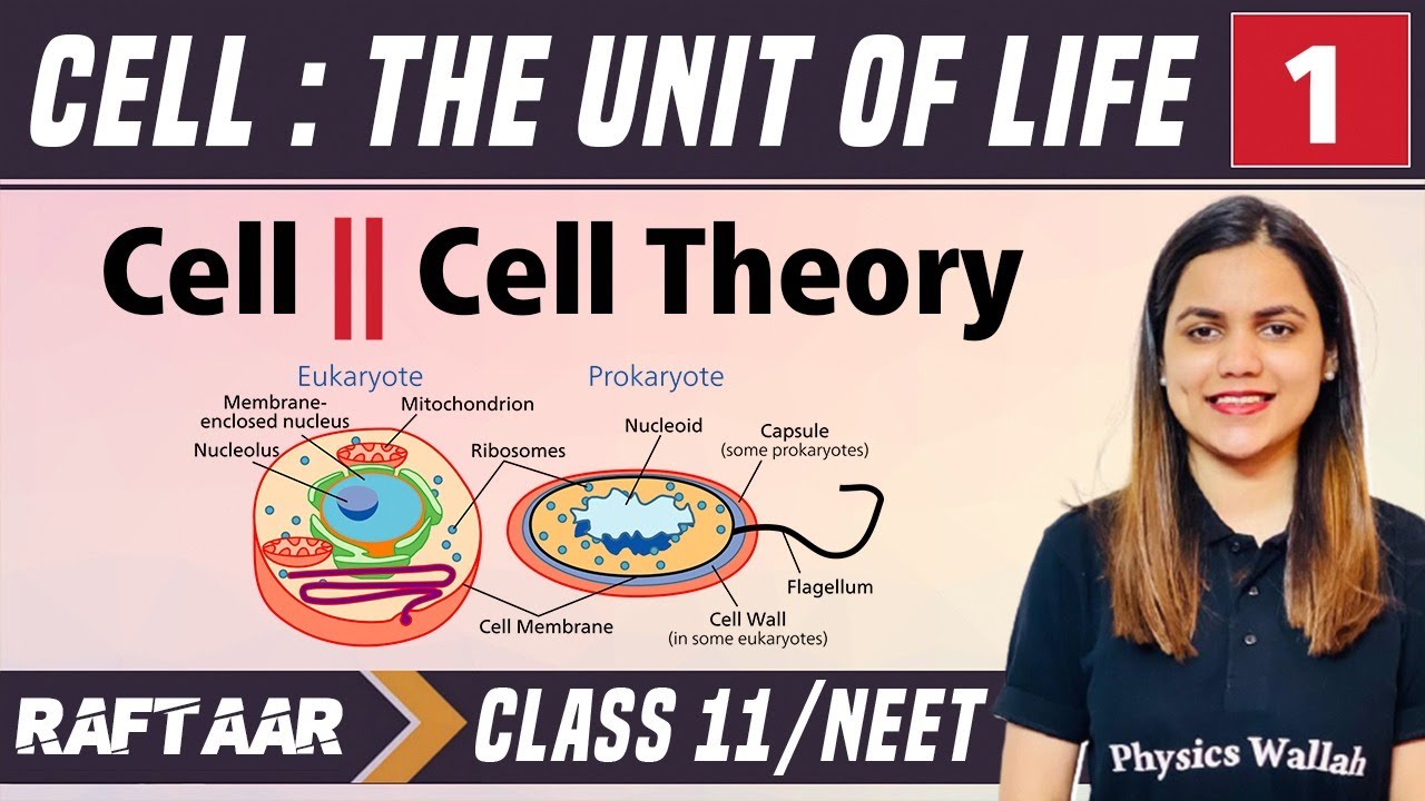 Cell : The Unit of Life 01 || Cell || Cell Theory || Class 11/NEET || RAFTAAR