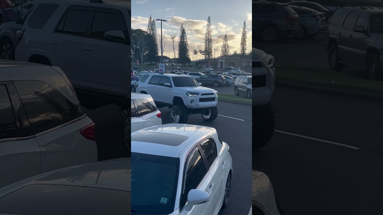 Hawaiian style 4Runner. 