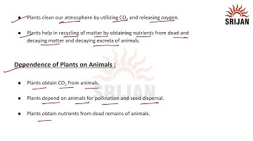 7. Interdependence between Organisms