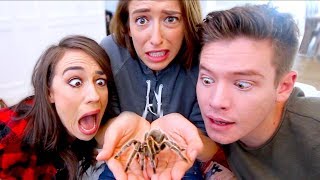 FACING OUR BIGGEST FEARS! SPIDERS AND SNAKES!