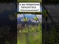 А ВЫ, ПРАВИЛЬНО СТАВИТЕ КОЛОКОЛЬЧИКИ? #рыбалка #fishing #рыбалканаозере #carpfishing #ловлярыбы