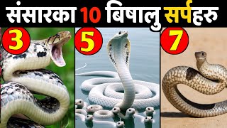 संसारका 10 सबै भन्दा बिषालु सर्प हरु || 10 Most Venomous Snakes In The World