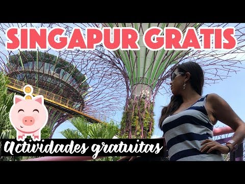 Video: 10 Cosas baratas y gratis para hacer en Singapur
