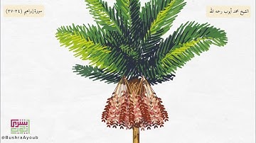 ما تيسر من سورة إبراهيم (٢٤-٢٧) | الشيخ محمد أيوب رحمه الله