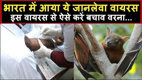 भारत में फैल रहा है Nipah Virus, देखिए कैसे करना है इस से बचाव | Headlines India