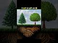 Trees Secretly Talk to Each Other 🤯 | Amazing nature fact #shorts #facts