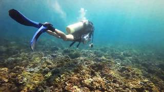 TSOU JJ【愛旅行】@PADI OW DIVER PADI潛水記錄 #東北角龍洞