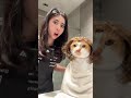 وقتی میگی فقط نوک گیری بشه وقتی میگی فقط نوک گیری بشه