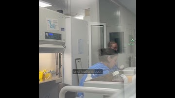 VIVEbiotech: Introducing Our Stable Producer Cell Line Platform