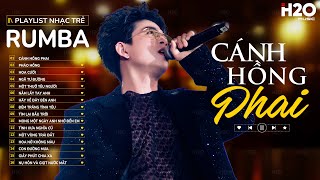 CÁNH HỒNG PHAI, PHÁO HỒNG, HOA CƯỚI RUMBA🎧LK RUMBA NHẠC TRẺ ĐẠT LONG VINH NGHE TRÊN TÀU